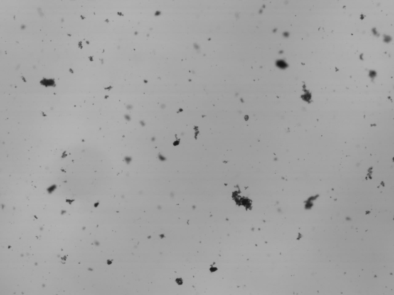 New Project – Flocculation dynamics in estuarine boundary layers
