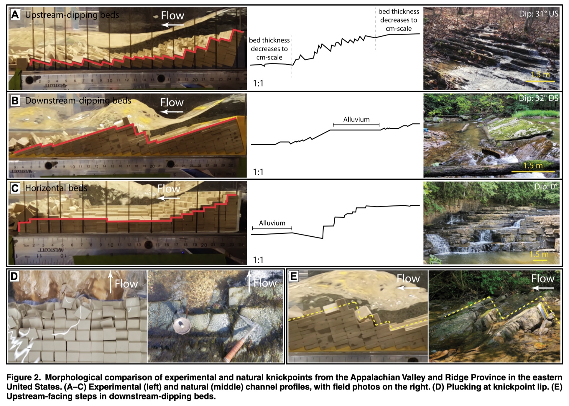 Dip angle controls on block plucking and erosion at bedrock knickpoints